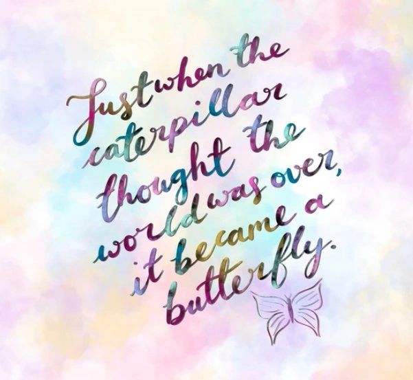 Just when the caterpillar thought the world was over, it became a butterfly.